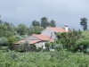DIGITAL IMAGE