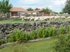 schafherde_1